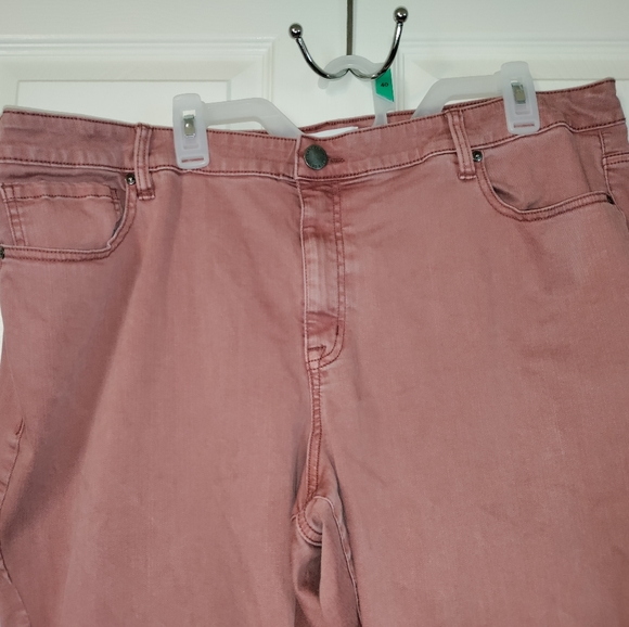 Lane Bryant Denim - Mauve Mid-Rise Skinny Lane Bryant Jeans